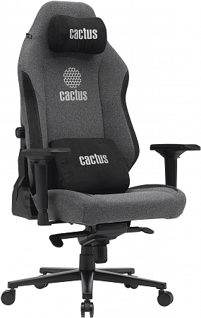 Cactus CS-CHR-MAG -GY Cactus CS-CHR-MAG -GY