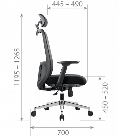 CHAIRMAN CH581 CHAIRMAN CH581