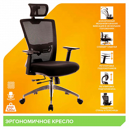 Everprof Polo (Поло) S Everprof Polo (Поло) S