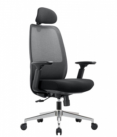 CHAIRMAN CH581 CHAIRMAN CH581