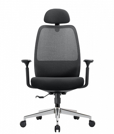 CHAIRMAN CH581 CHAIRMAN CH581