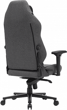 Cactus CS-CHR-MAG -GY Cactus CS-CHR-MAG -GY