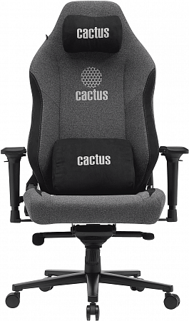 Cactus CS-CHR-MAG -GY Cactus CS-CHR-MAG -GY