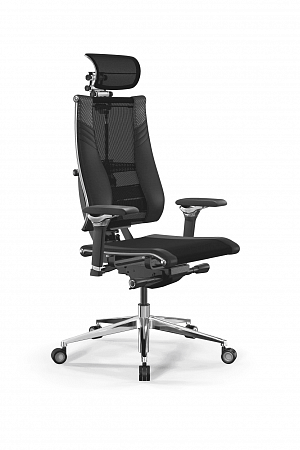 Yoga Spine Triumph B2